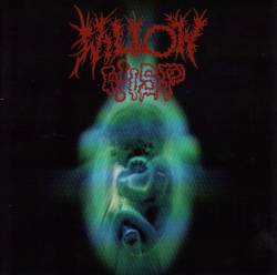 Willow Wisp : The Building Up and Breaking Down of Matter